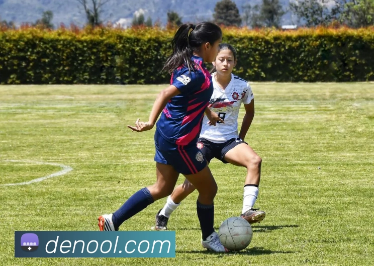 世界杯平台官网登录平台生态图